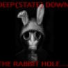0_DOWN THE DEEPSTATE RABBIT HOLE-1